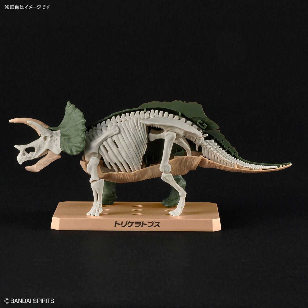 Plannosaurus - Triceratops