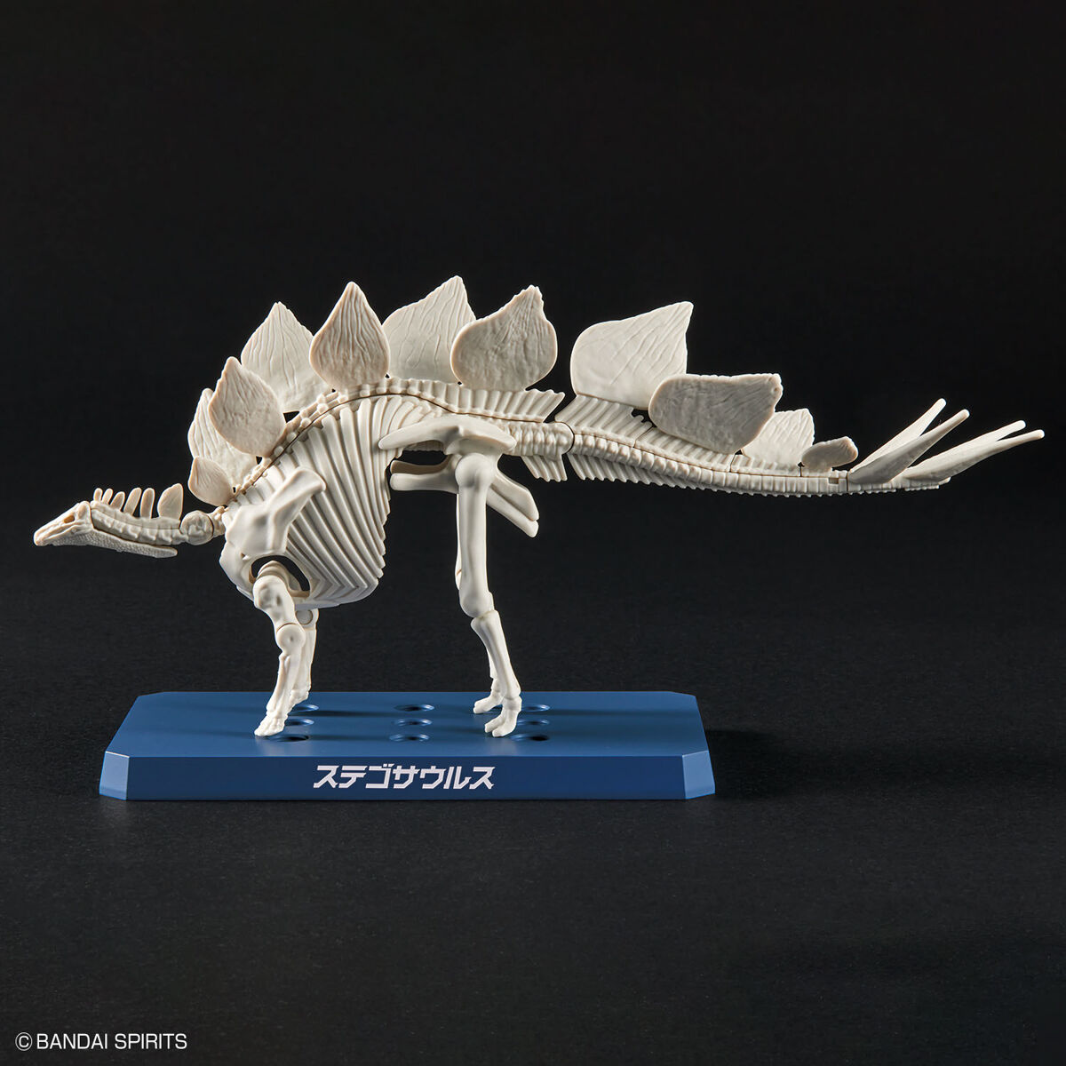 Plannosaurus - Stegosaurus