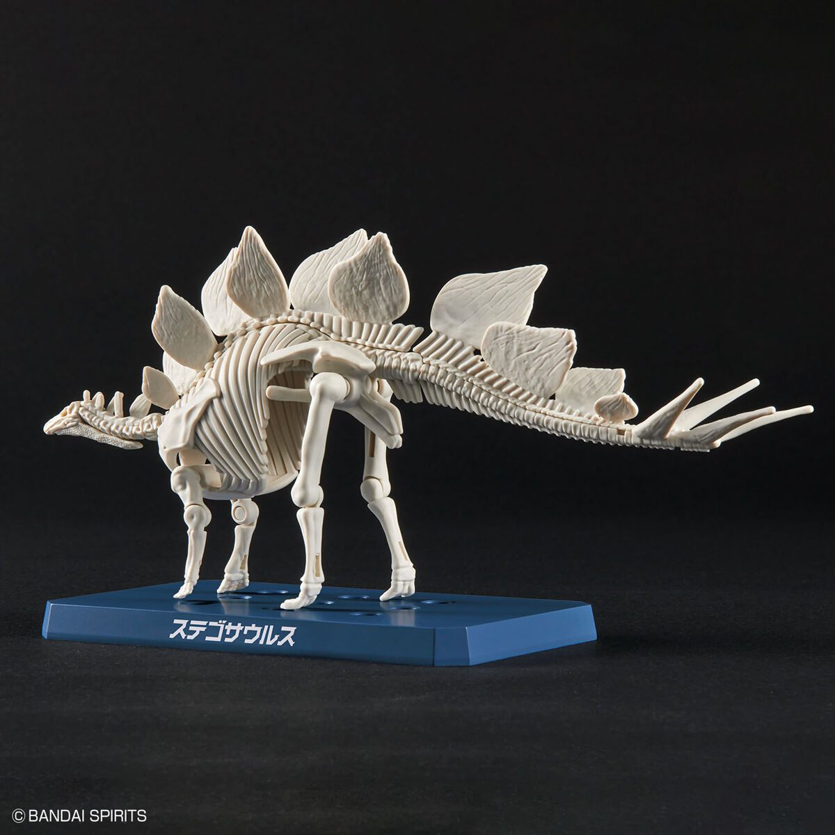 Plannosaurus - Stegosaurus