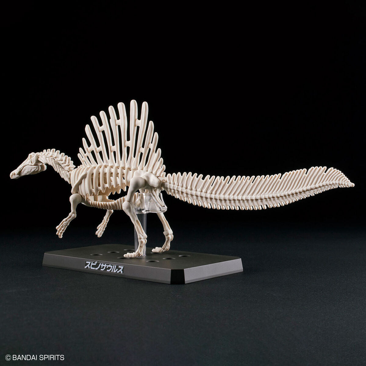 Plannosaurus - Spinosaurus