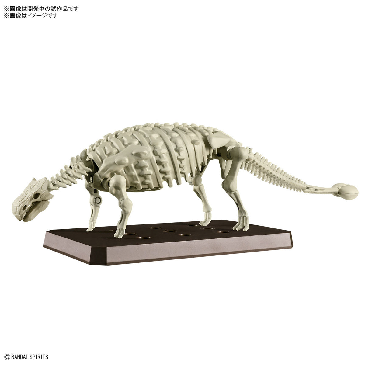Plannosaurus - Ankylosaurus