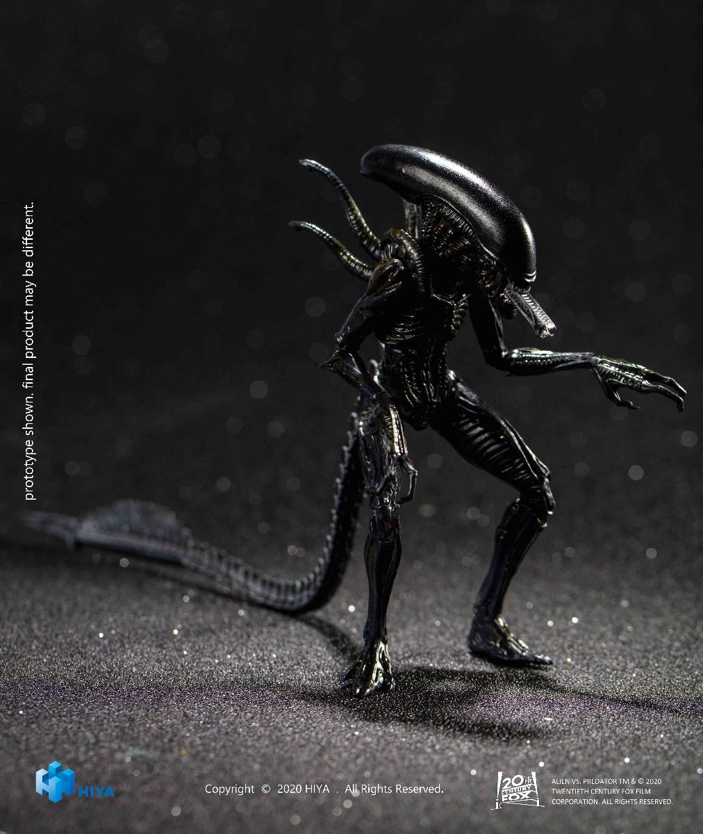 Hiya Toys - AVP - Alien Warrior