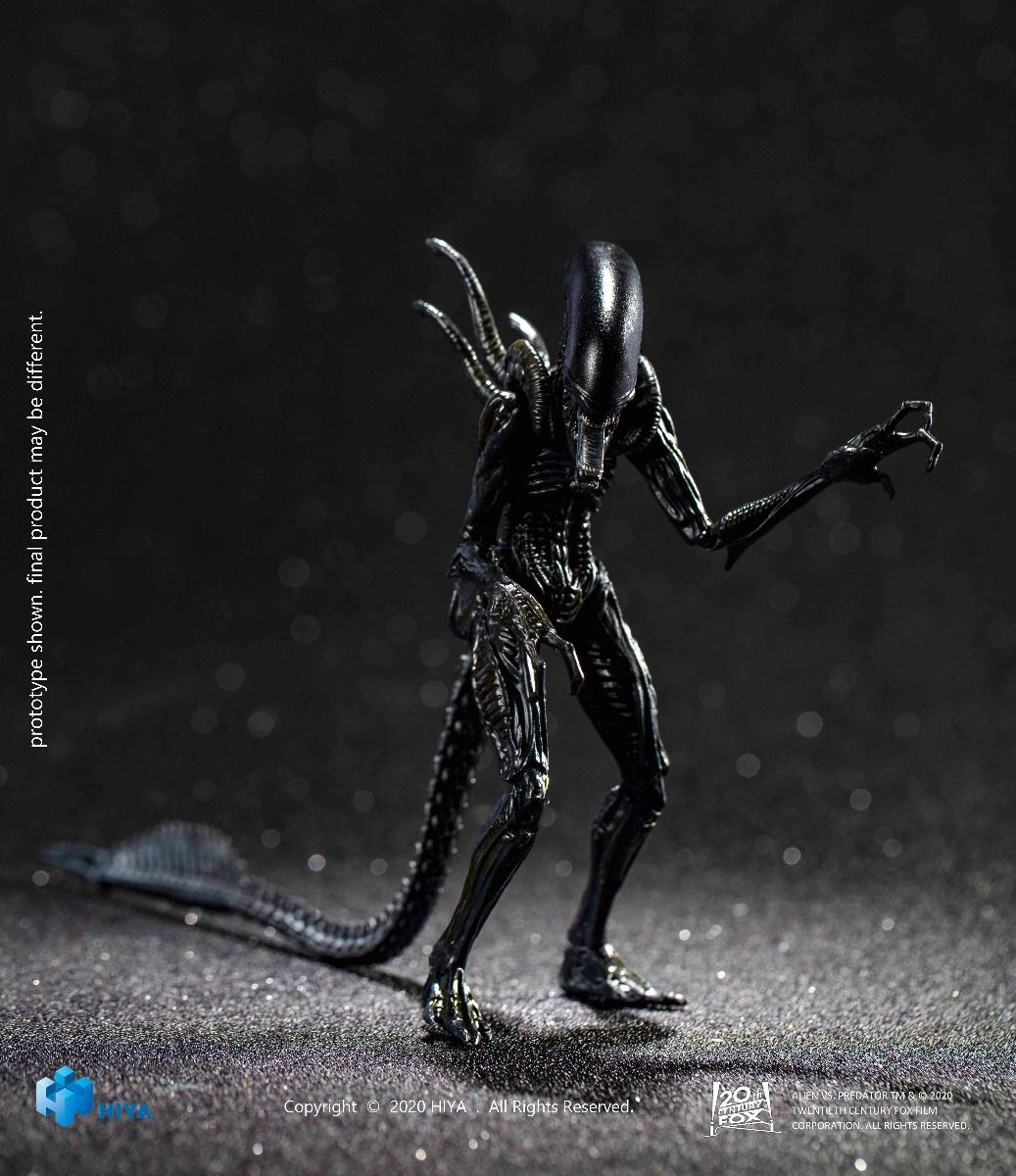 Hiya Toys - AVP - Alien Warrior