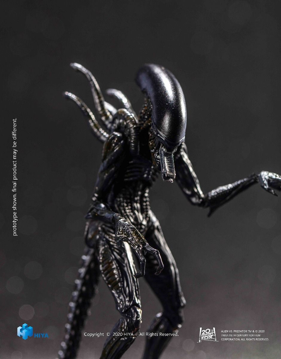Hiya Toys - AVP - Alien Warrior