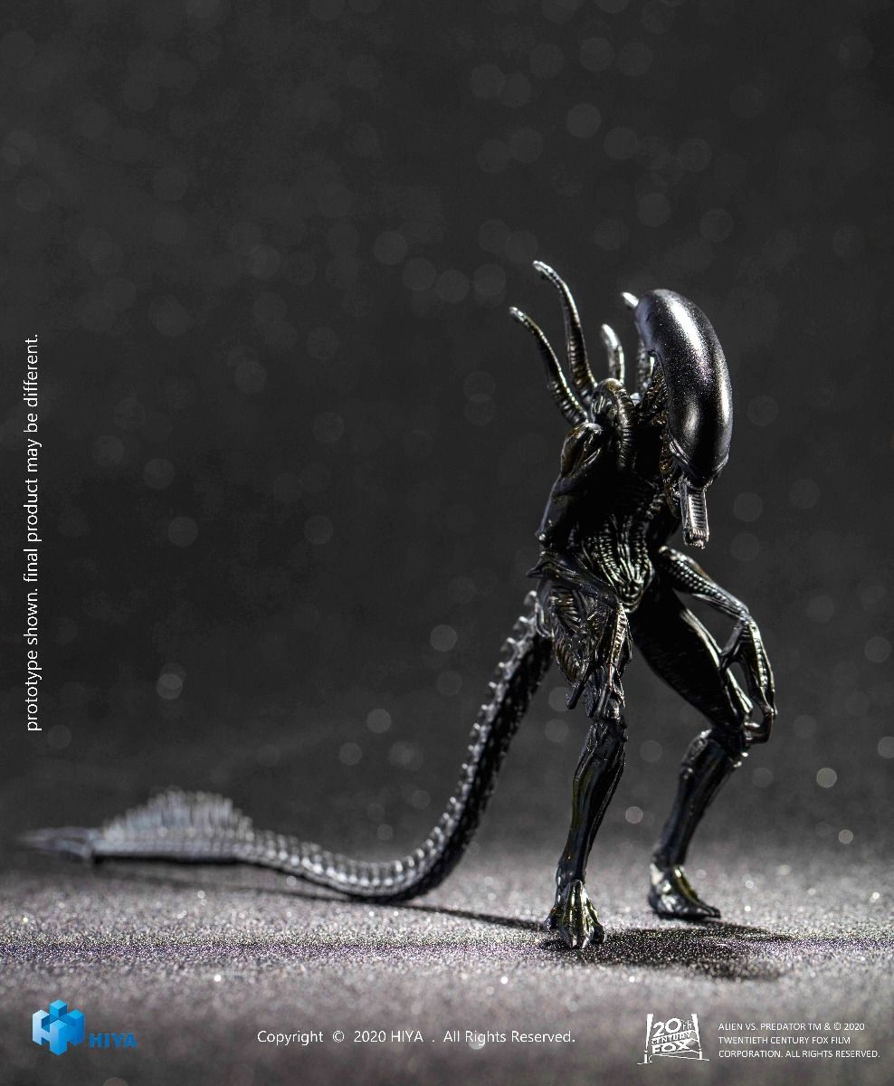 Hiya Toys - AVP - Alien Warrior
