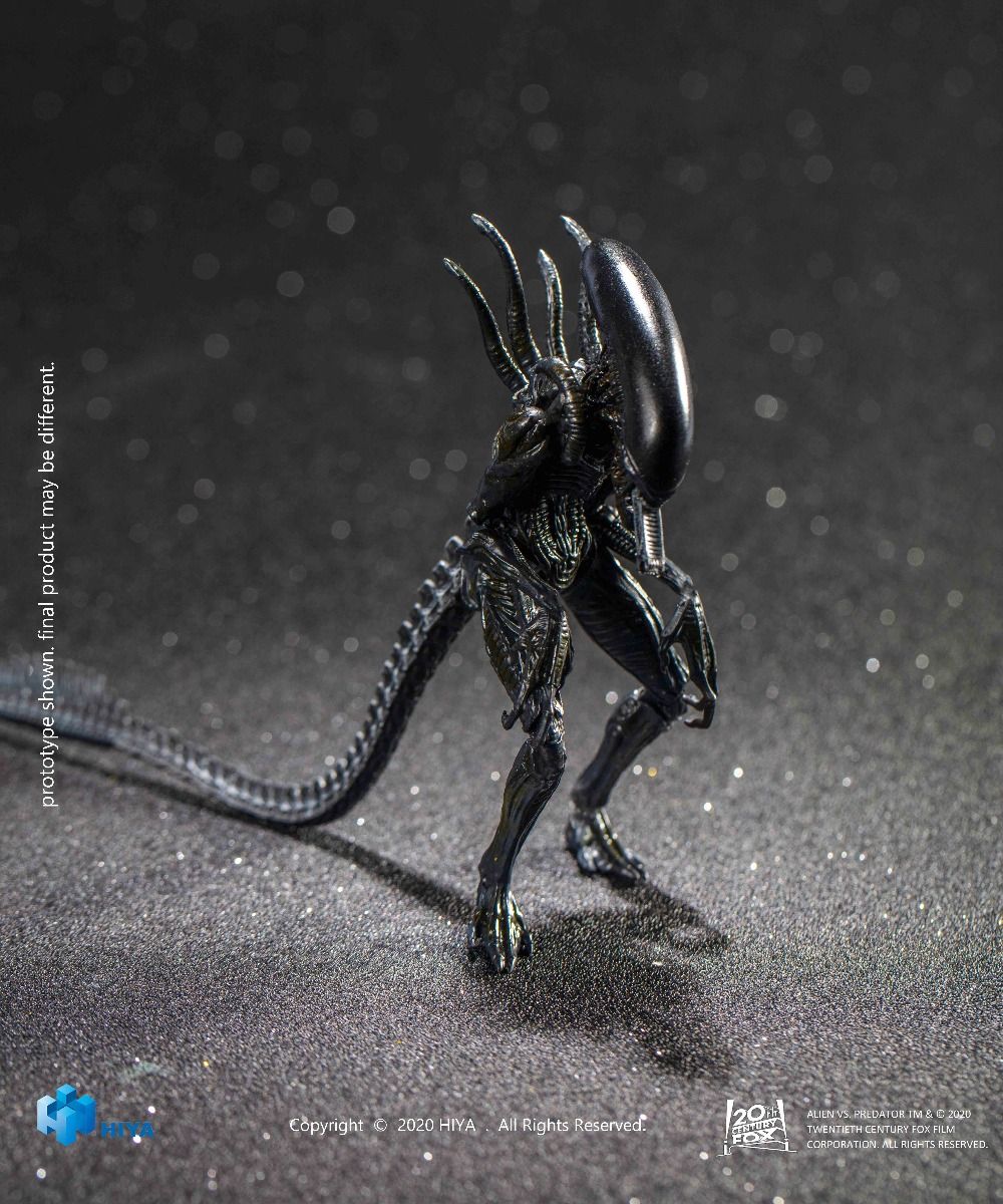 Hiya Toys - AVP - Alien Warrior
