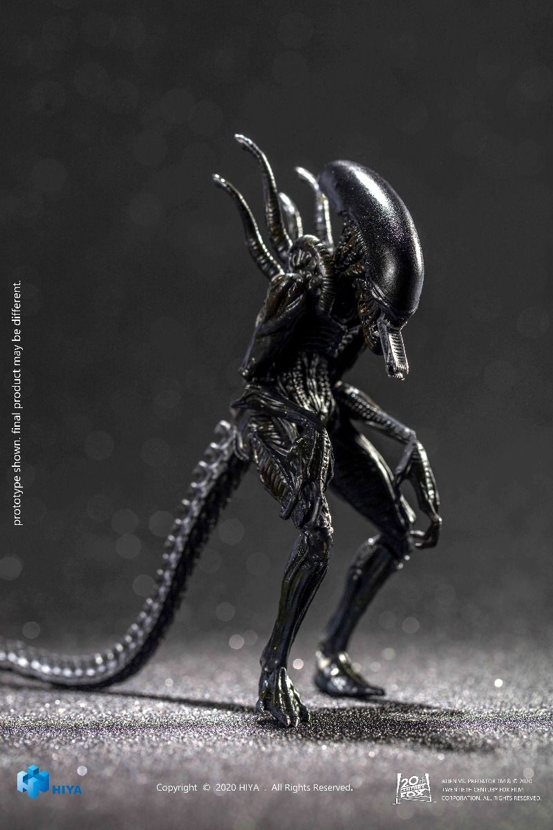 Hiya Toys - AVP - Alien Warrior