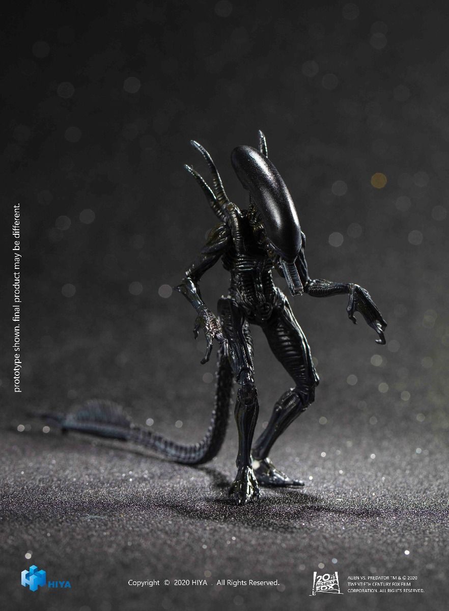 Hiya Toys - AVP - Alien Warrior