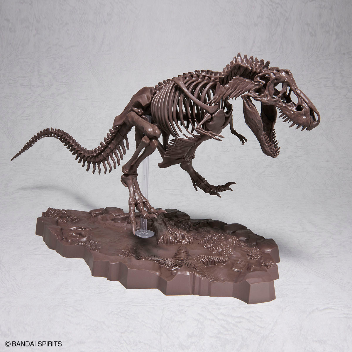 Imaginary Skeleton - Tyrannosaurus