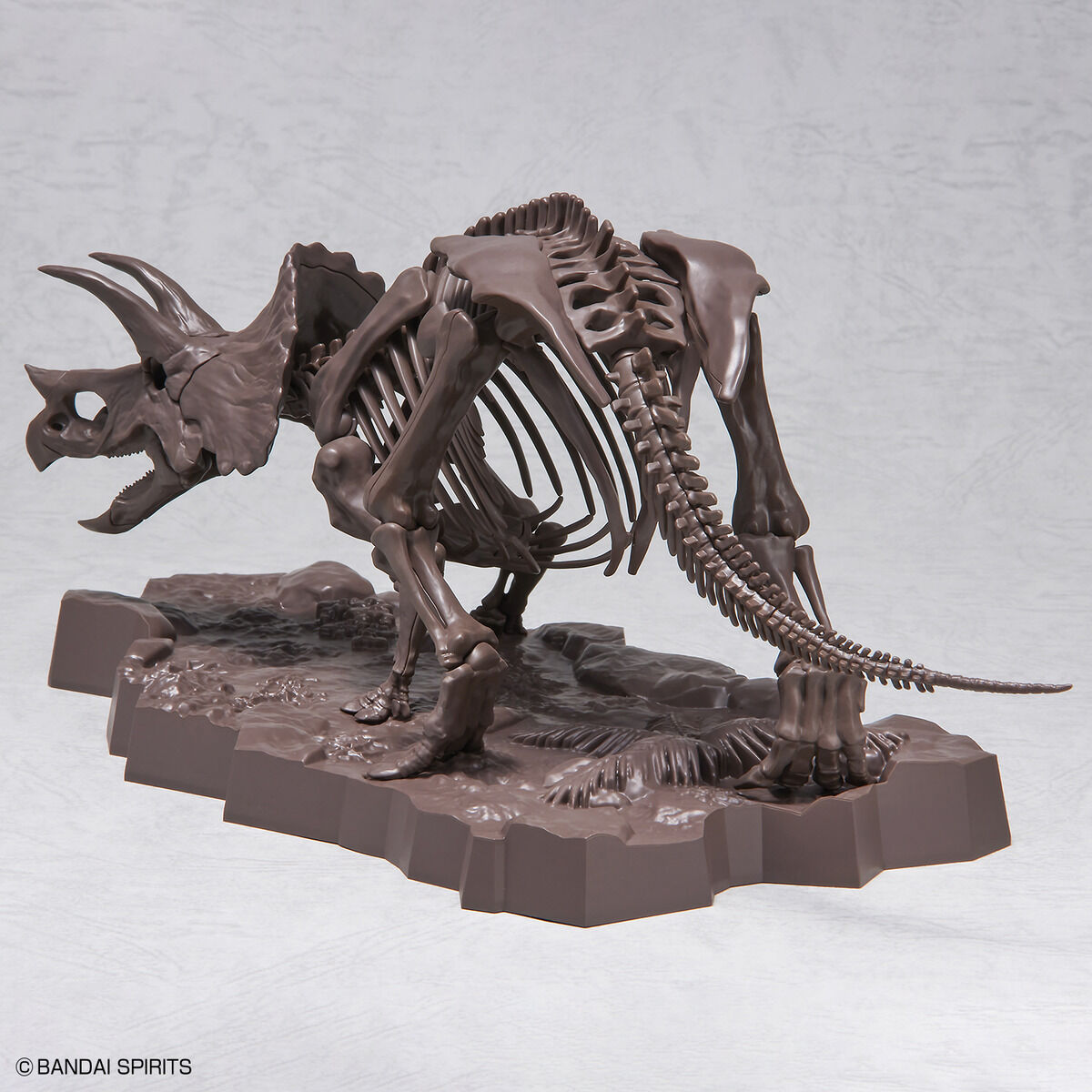 Imaginary Skeleton - Triceratops