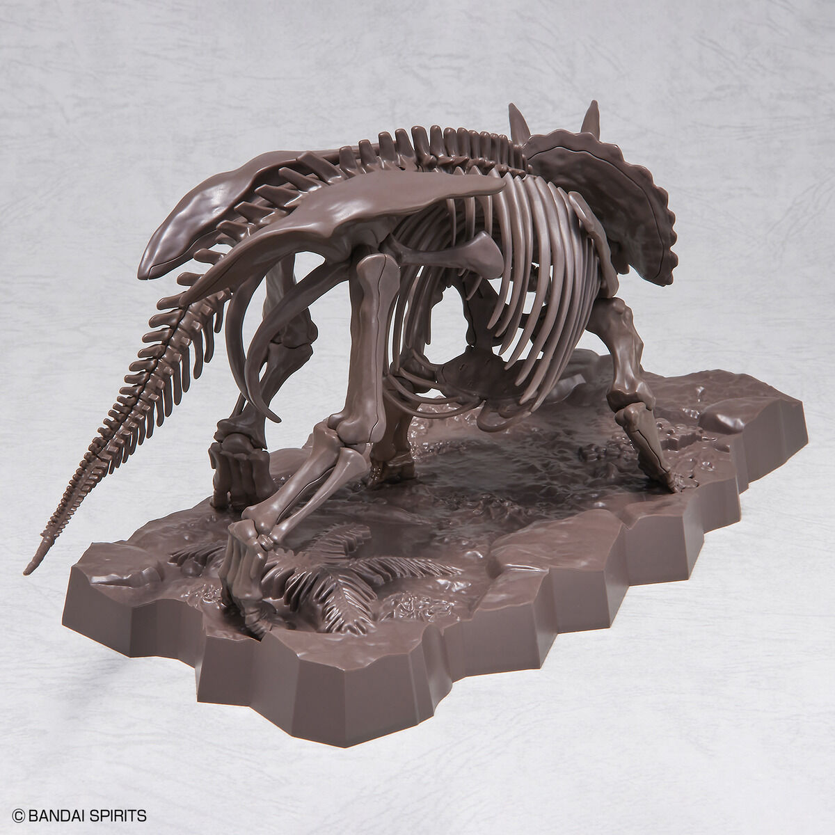 Imaginary Skeleton - Triceratops