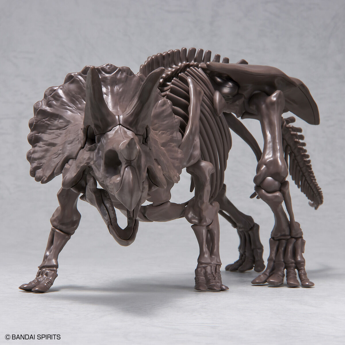 Imaginary Skeleton - Triceratops
