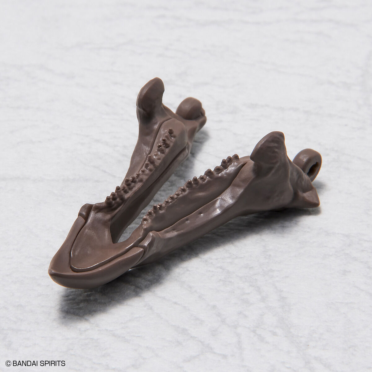 Imaginary Skeleton - Triceratops