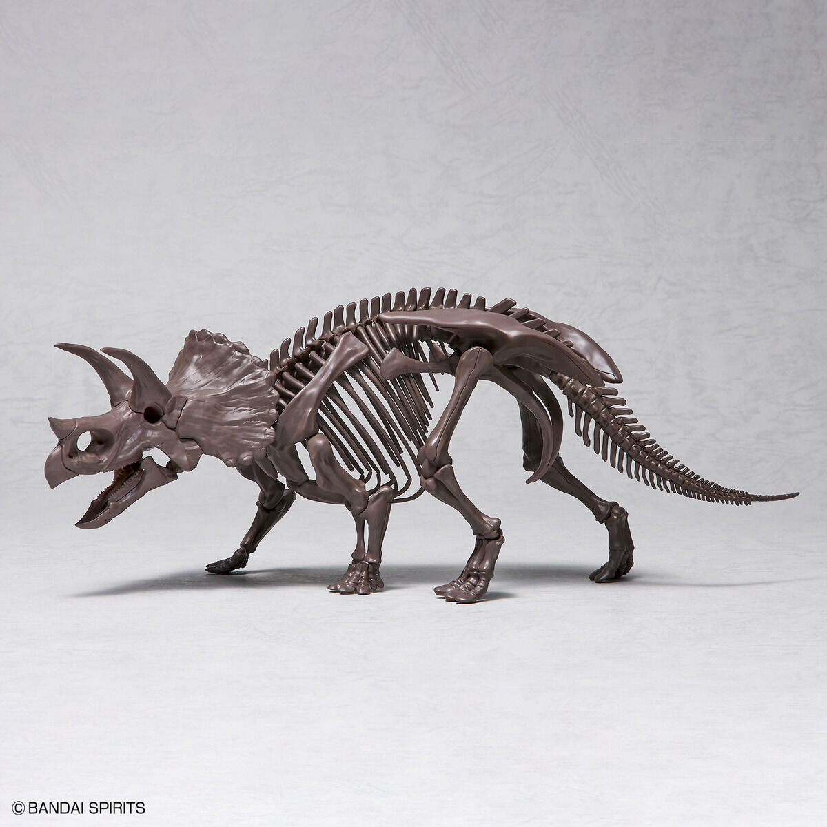 Imaginary Skeleton - Triceratops
