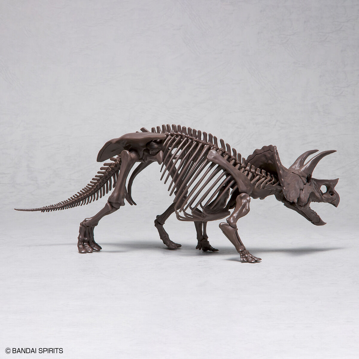 Imaginary Skeleton - Triceratops