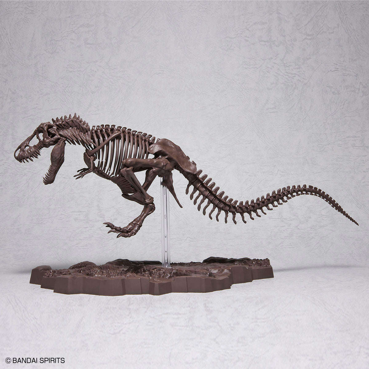 Imaginary Skeleton - Tyrannosaurus