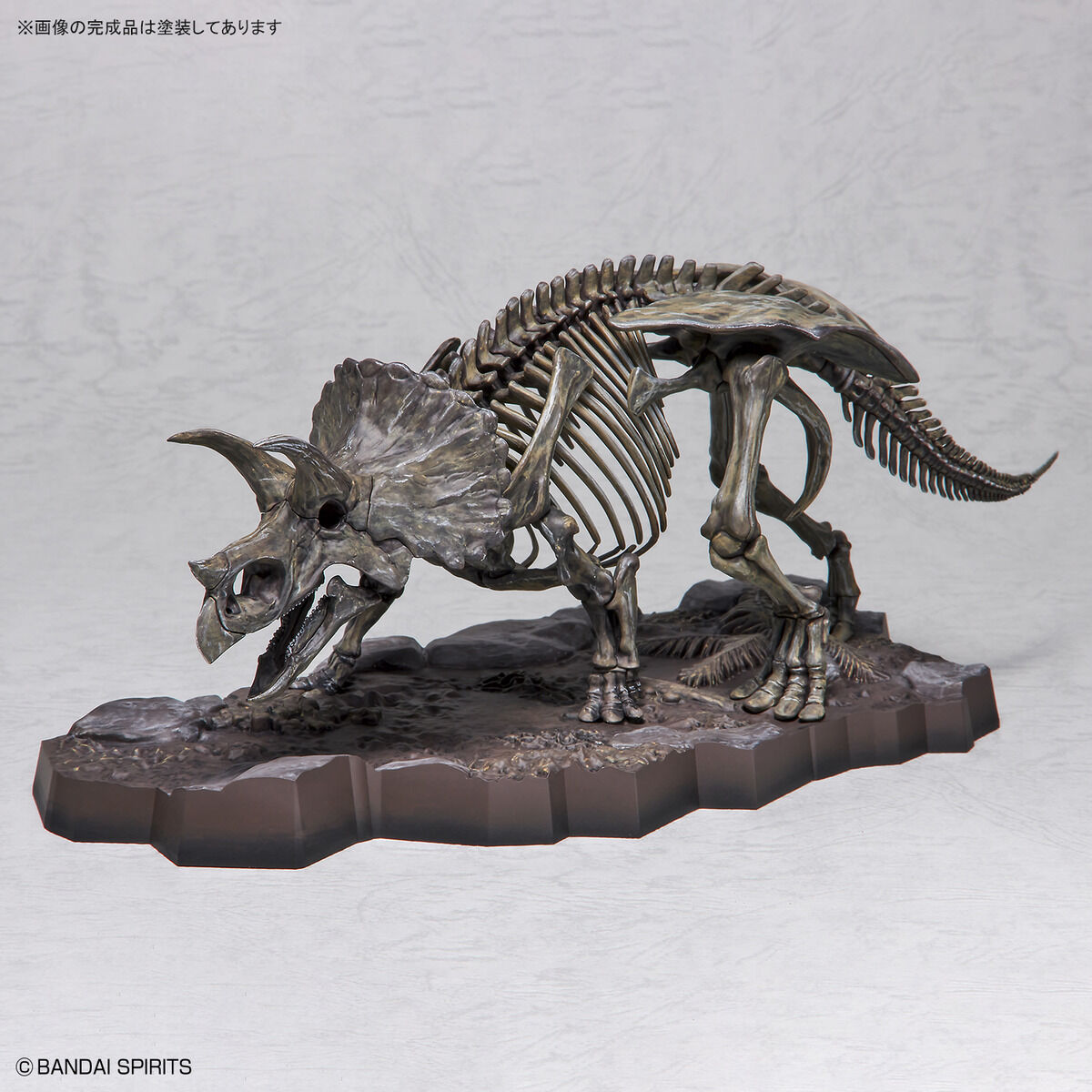 Imaginary Skeleton - Triceratops