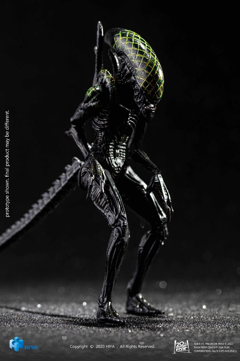 Hiya Toys - AVP - Grid Alien