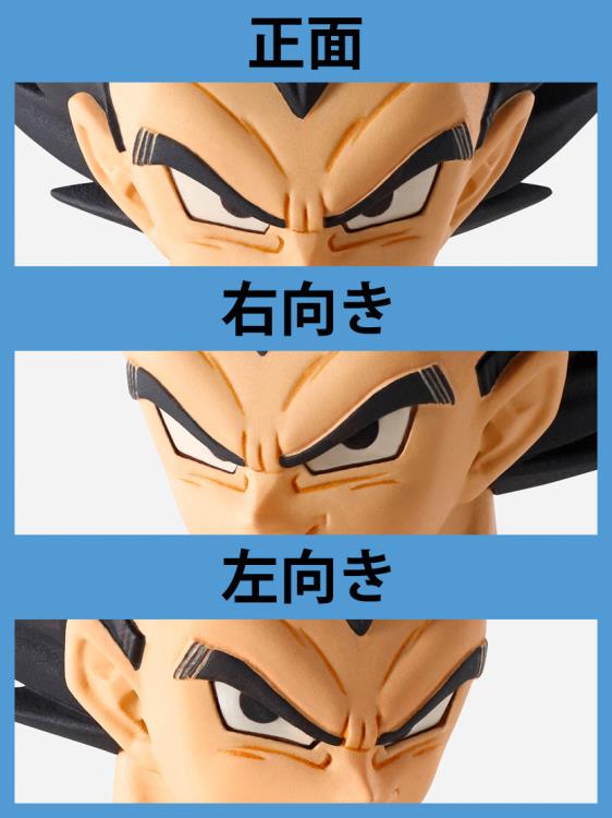 Imaginations Works - Vegeta
