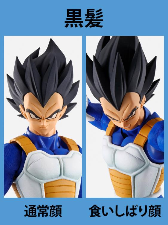 Imaginations Works - Vegeta
