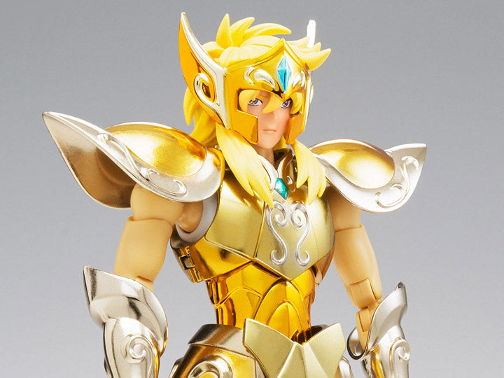 Saint Myth Cloth - EX - Aquarius Hyoga