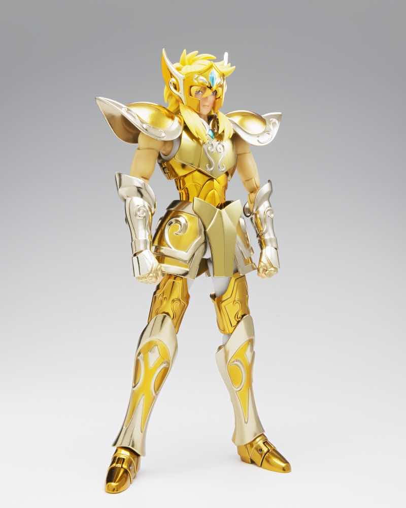 Saint Myth Cloth - EX - Aquarius Hyoga