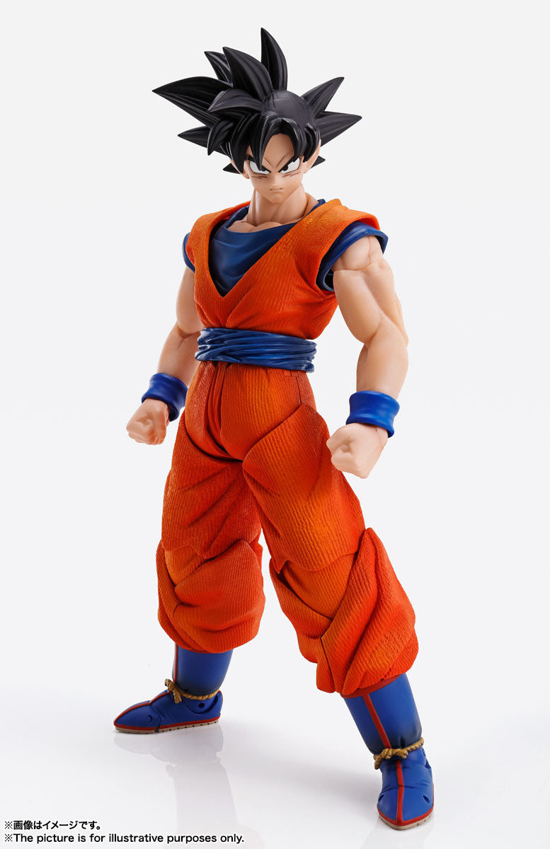 Imaginations Works - Son Goku