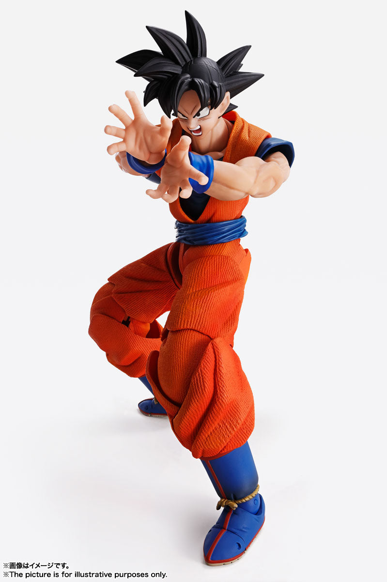 Imaginations Works - Son Goku