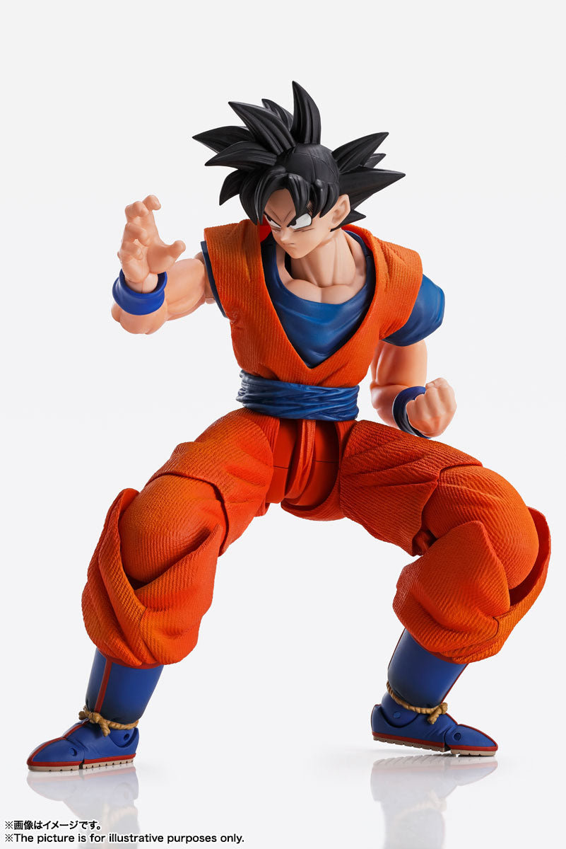 Imaginations Works - Son Goku