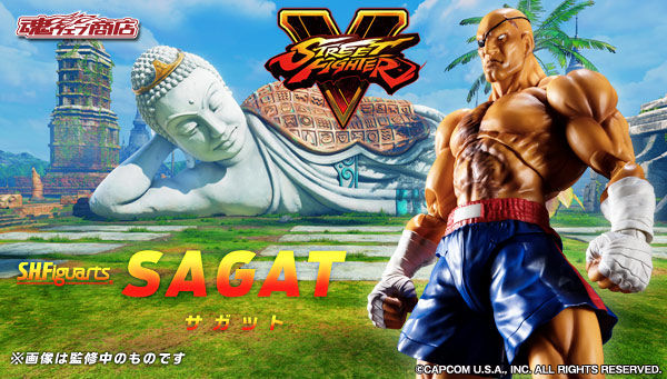 S.H. Figuarts - Street Fighters - Sagat