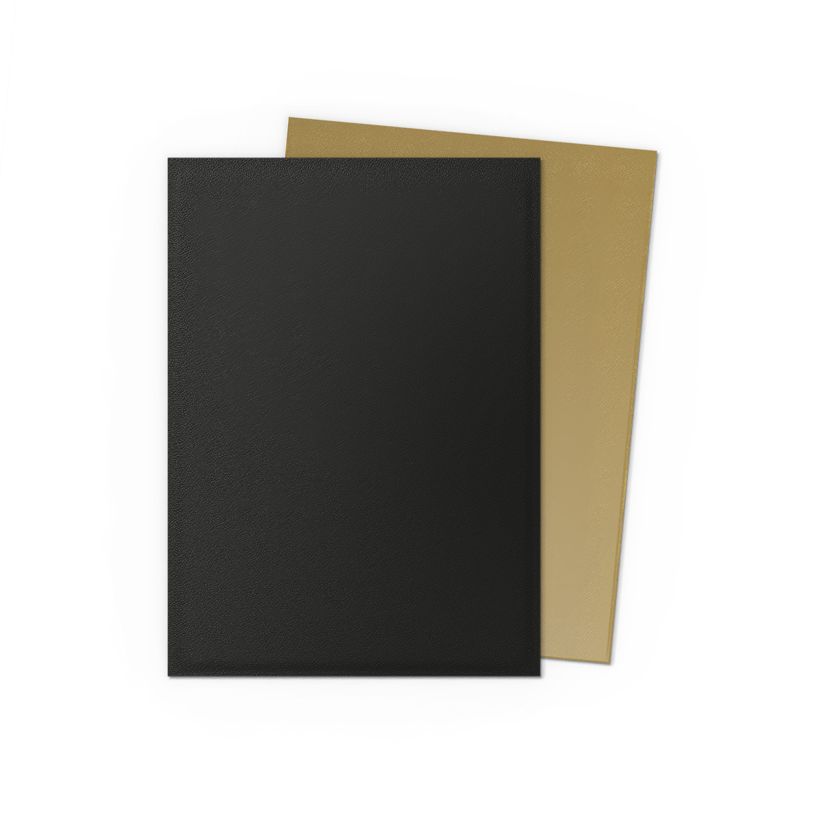 Dragon Shield - Sleeves - Standard Dual-Matte[Black & Gold]