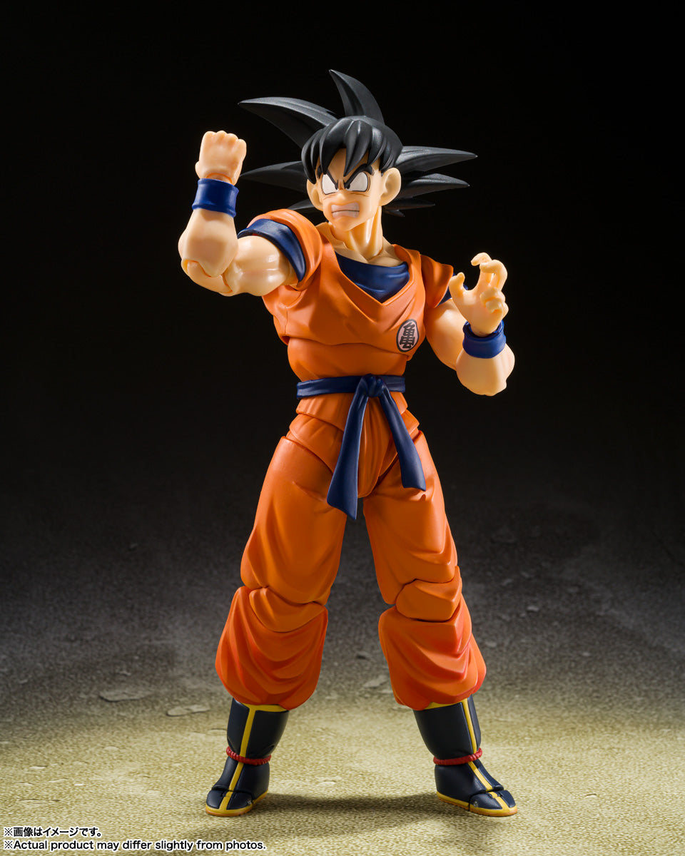 S.H. Figuarts - Dragon Ball Z - Son Goku & Son Gohan 2024 Event Exclusive