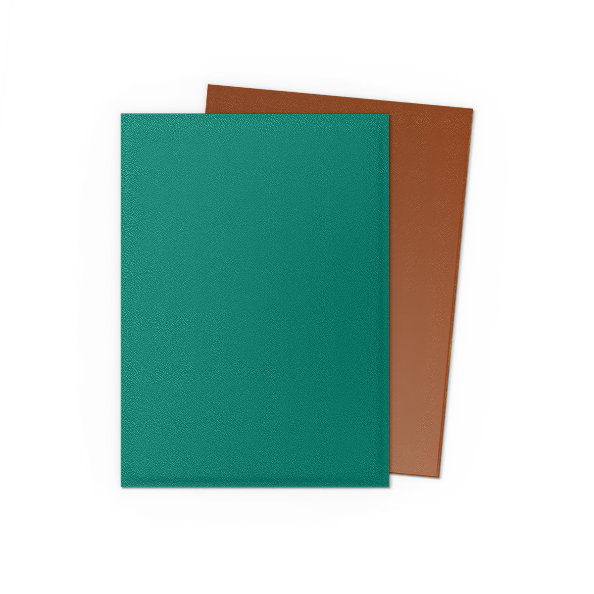 Dragon Shield - Sleeves - Standard Dual-Matte[Power & Copper]