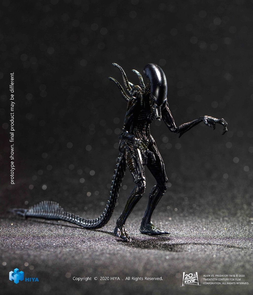 Hiya Toys - AVP - Alien Warrior