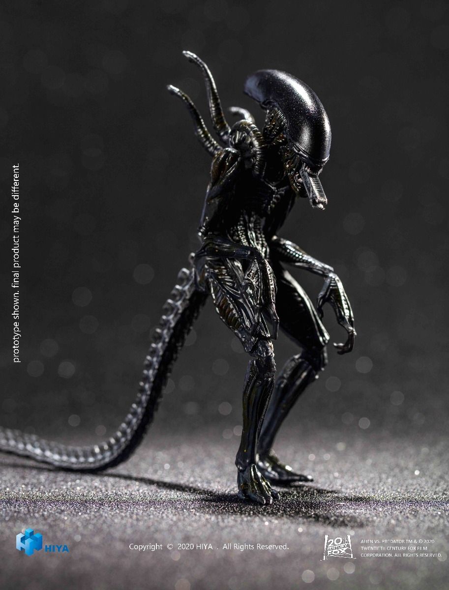 Hiya Toys - AVP - Alien Warrior