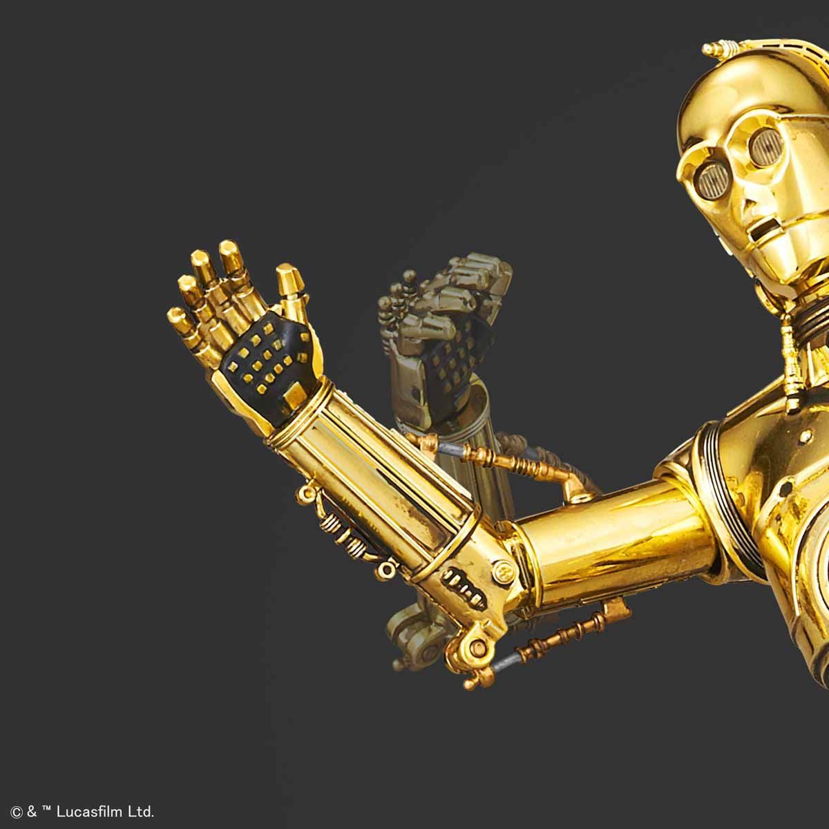 Star Wars Model - 1/12 C-3PO & R2-D2