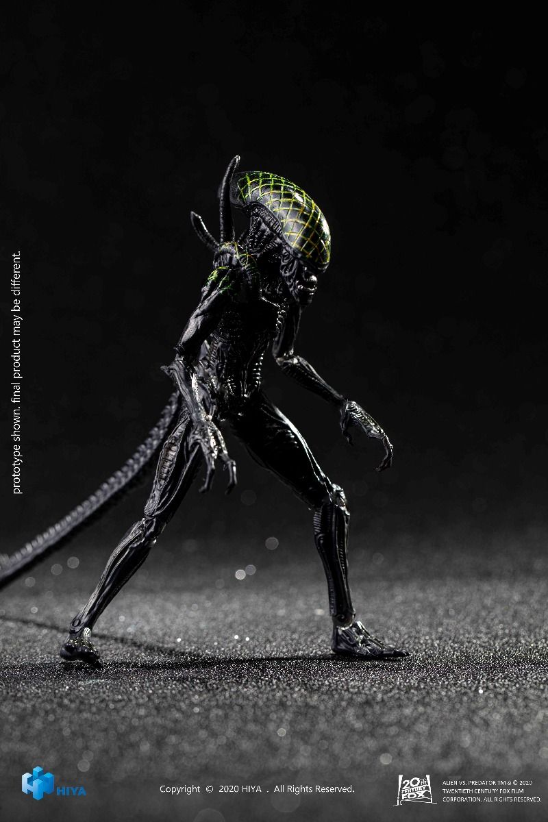 Hiya Toys - AVP - Grid Alien