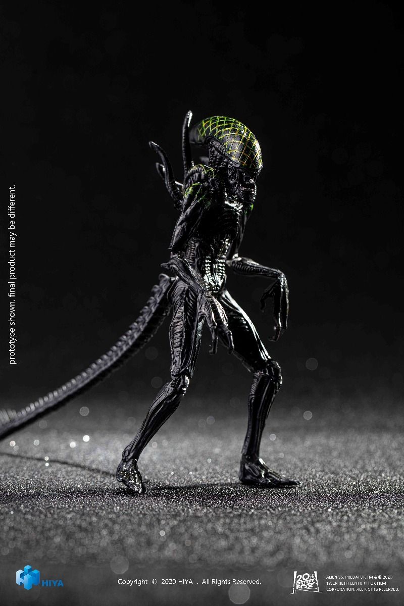 Hiya Toys - AVP - Grid Alien
