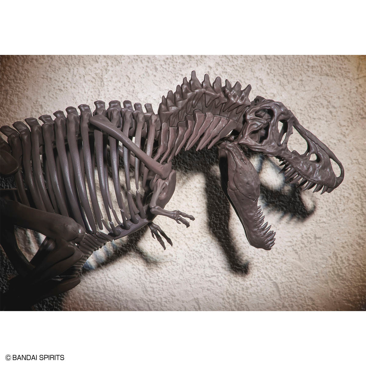 Imaginary Skeleton - Tyrannosaurus