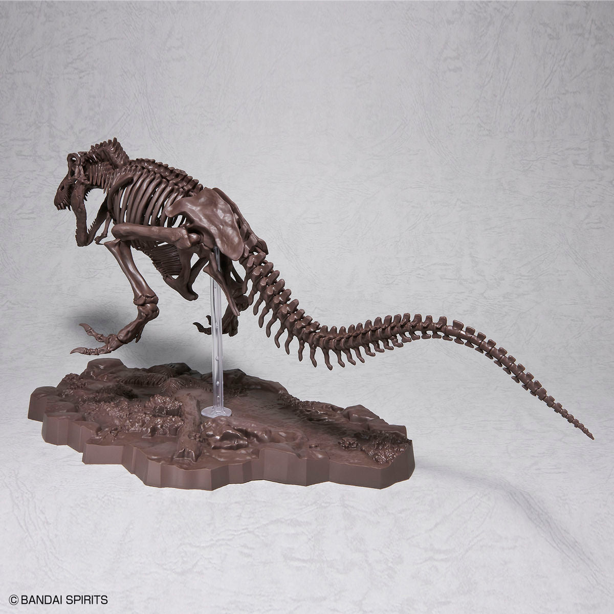 Imaginary Skeleton - Tyrannosaurus