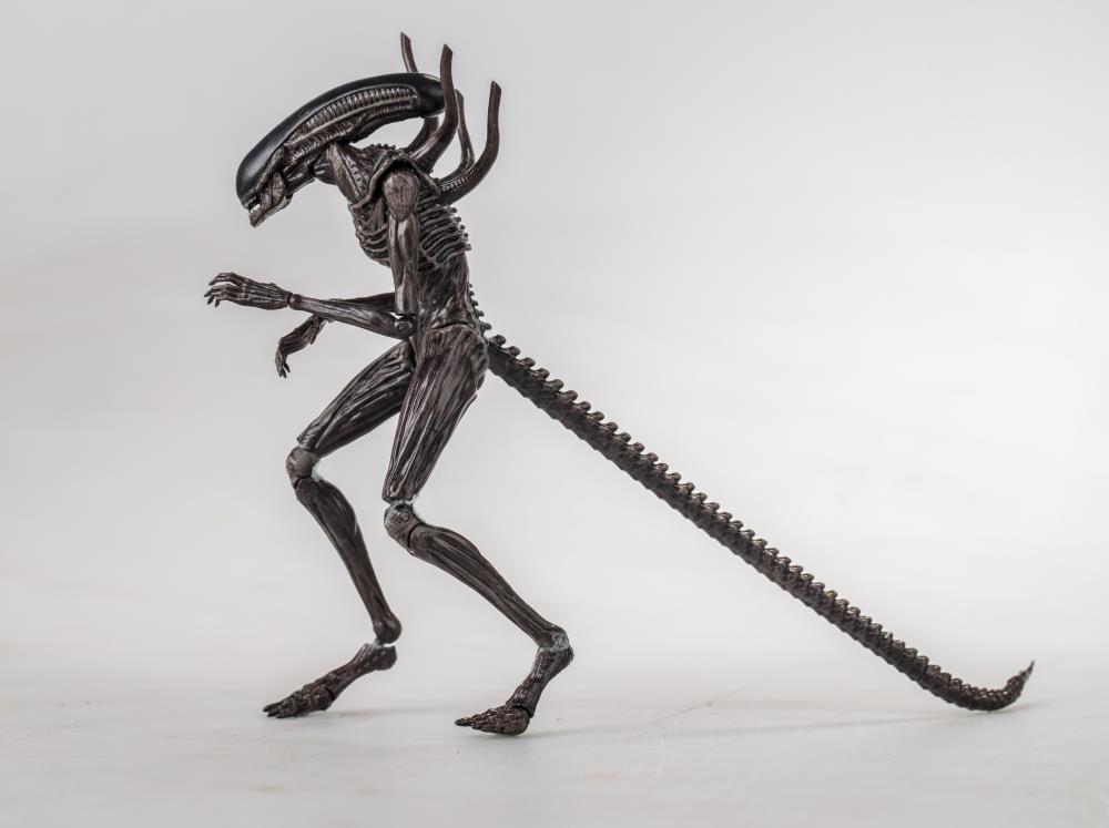 Hiya Toys - Alien Covenant - Xenomorph