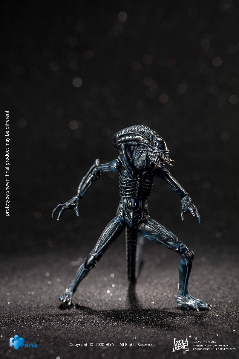 Hiya Toys - Alien - Blue Alien Warrior