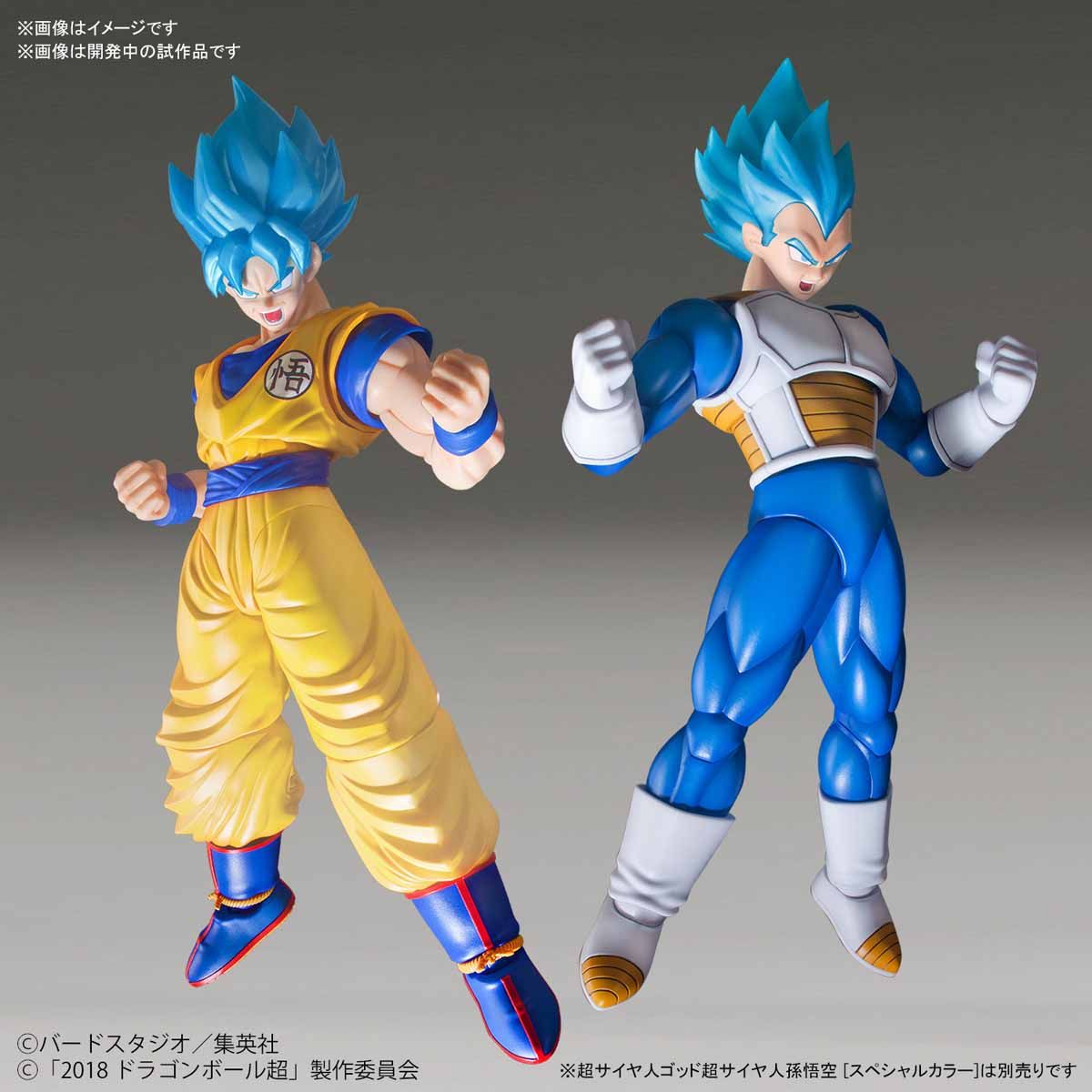 Figure-rise Standard - Super Saiyan God Super Saiyan Vegeta (Special Color)