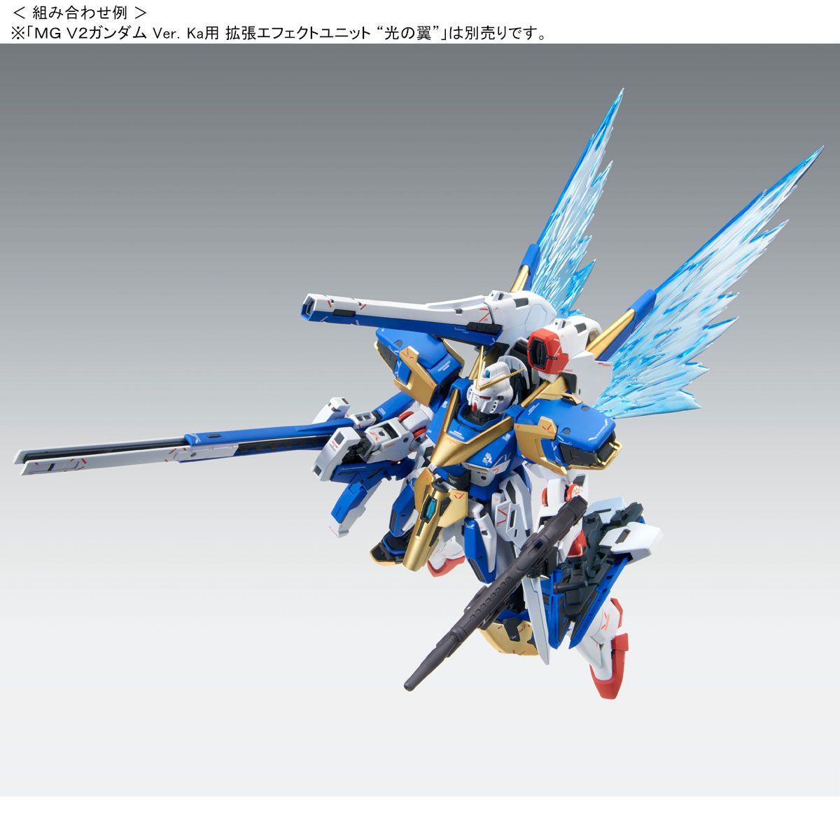 MG - LM314V23/24 V2 Assault-Buster Gundam Ver.Ka