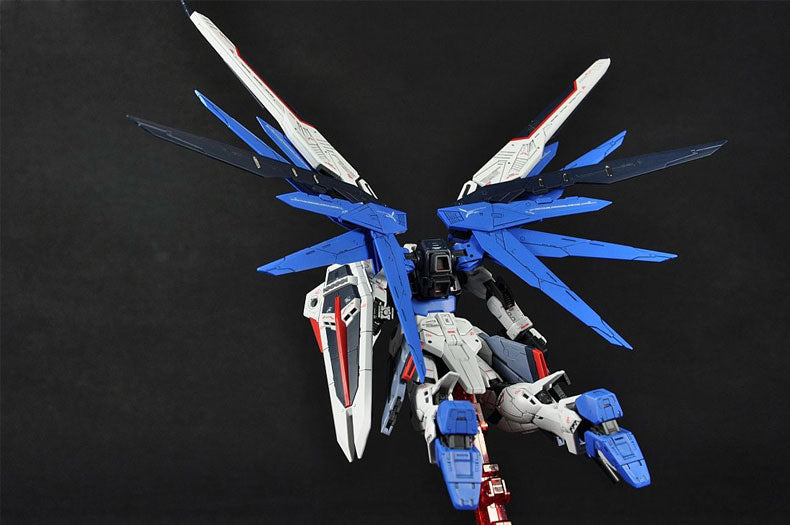 RG - ZGMF-X10A Freedom Gundam