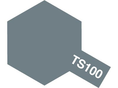 TS-100 SG Bright Gun Metal Spray