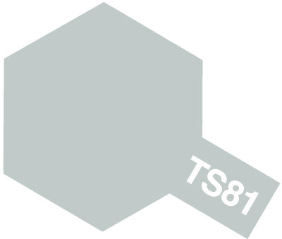 TS-81 British Navy Gray Spray
