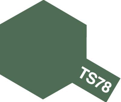 TS-78 Field Grey Spray
