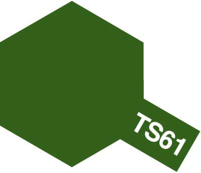 TS-61 NATO Green Spray